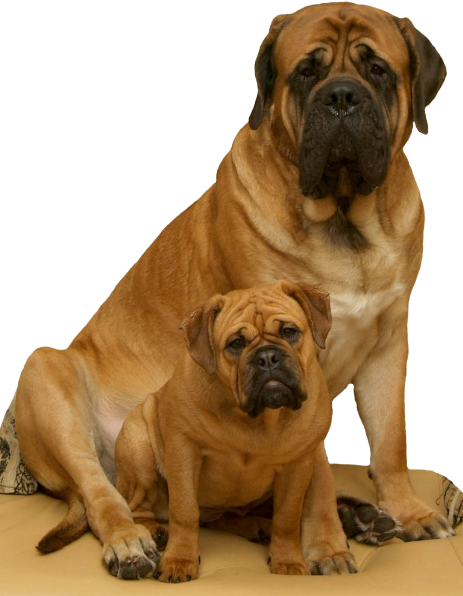Theo und Paula