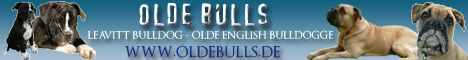 Leavitt-Bulldogs Oldebulls